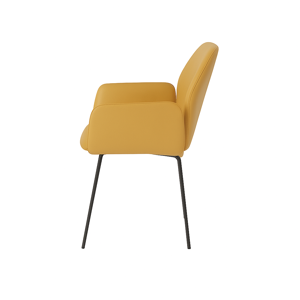 Scaun piele ALBA | model PETRA