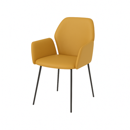 Scaun piele ALBASTRA | model PETRA